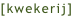 shapeimage_5_link_0
